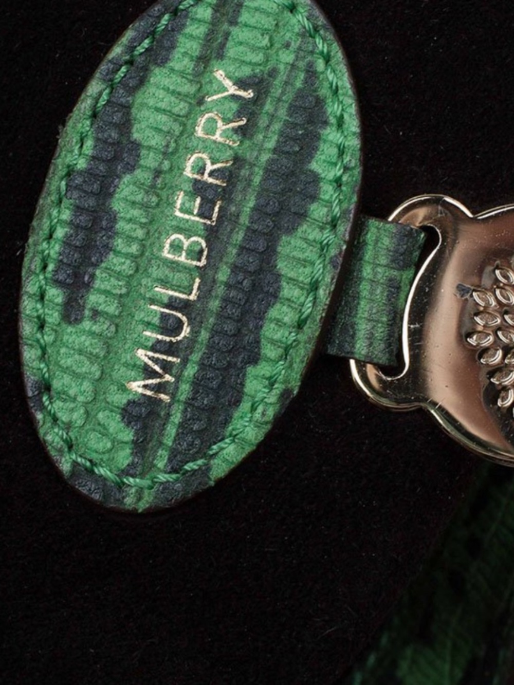 Mulberry Green & Yellow Textured Leather Alexa Bag - Picture 3 of 4
